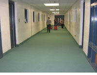 Earth-Friendly Color Flooring System